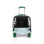 백팩 애견 강아지 투명 고양이 가방 이동장 그린 반투명