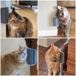 킹트리 고양이 코너 스크래처 셀프 그루머 캣닙 2팩 소프트 얼굴 벽 그루밍 마사지 빗 길고 짧은 털 고양이용