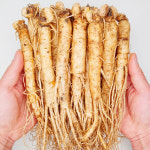 금산수삼센터 금산인삼 수삼 세척 4 6년근 원수삼 350g 11 15뿌리