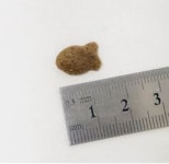 펫후 캣 마더 닭고기 전연령