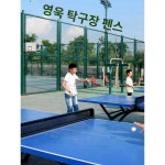 농구장 울타리 축구장 울타리 학교 운동장 가림막 철조망 경기장 가림막
