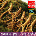 진짜배기 강원도 황절삼 토종 산양삼 50g 15뿌리 20뿌리