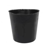 비닐포트 세트 분갈이 일회용 베란다 5천개 원예 실제 12 10 1 화분 꽃집 소프트 모델명 다육이 모종 지름9높이8 1 모델명 12 10 지름9높이8... 