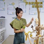 앵무새 긁힘 방지 다기능 보호대 팔 발목 싱글 훈련 어깨 숄 암가드 패드 기저귀 싱글 체 강황