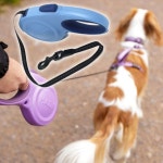 강아지 야간반사 자동줄 5m L 1P 산책 리드줄