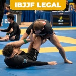 골드 BJJ 주짓수 반바지 - IBJJF 승인 노 기 파이트 쇼트 그래플링 MMA 레슬링 무에타이 복싱용 X-Small