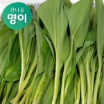 한마루 명가 강원도 창 고랭지 명이나물 대명이 1kg