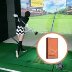 어썸샷 버디필름 드라이버용 2박스