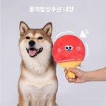 Petinn파 마인드 펫츠빌 강아지 고양이 장난감 탁구공 뽀글이 인터랙티브 발성 이갈이 하이