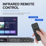 마이크펀스 피드백 억제기 프리앰프 노래방 이펙터 디지털 전단계 하울링 방지 오디오 프로세서 에코 USB MP3 블루투스 광학 KT900DSP