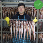 최고다농수산 속초 코다리 찜 조림 절단 속초 프리미엄코다리 8마리 만능소스 SET
