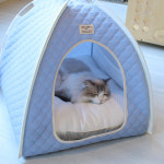 초코펫하우스 리얼 아이스 쿨링 강아지 얼음의집 소형