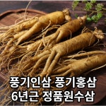 풍기인삼 수삼 5년근 6년근 정품원수삼 난발삼 정품원수삼 750g 18-25뿌리 1개
