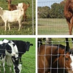 방형망 철망 능형망 휀스 고라니 양계망 아연망