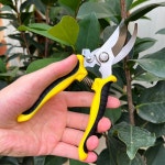 분재 용 정원 가위 전문 가지 치기 나무 과수원 포도 가제트 농업 농장 손 도구 꽃 정리기