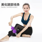 더블볼 고슴도치 마사지 스틱 요가 홈트레이닝 근육 롤러 자주색
