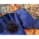 엑셀레이 1쌍 수영 거미줄 장갑 트레이닝 남성 여성 스쿠버 다이빙 스노클링 스피어 낚시용 수생 피트니스 패들 방수 다이빙 핸드