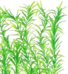 지하쿠아 수족관 장식 플라스틱 식물 초대형 21 인공 어항 키 큰 녹색 2개 Green 2pcs