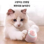 고양이 장난감 공 고양이 심심풀이로 고양이 스틱 전동 고양이 체력 소모 신기