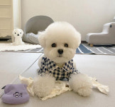 한별나라 강아지 체크파자마 슬립웨어 잠옷 L 1개