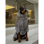 대형견우비 도베르만 야외 방수 반사 재킷 올인원 은회색 칠일