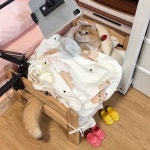 원목 강아지침대 고양이침대 고양이방석 쿠션침구 S 무늬와 색상의 침구류
