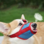 강아지 매쉬 입마개 물림방지 핥지방지 반려견 훈련 레드블루S