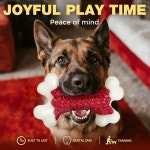 크세루 터프 독 장난감 공격적인 츄어 대형 품종을 위한 씹는 개 뼈 나일론 거의 파괴되지 않음 1 Count