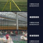 코팅용접망 PVC 울타리 휀스망 인테리어망 과수원