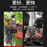 토마토 묶는 기계 고추대 바인딩 결속기 토마토 오이 나무 머신 테이프 포도 1 5세대 날보내기 스프링