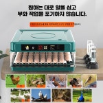 가정용 부화 닭 병아리부화기만들기 자동인공부화기