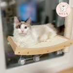 해리스힐 해리스힐 고양이 원목 스크래쳐 창문 해먹 1개 M