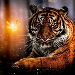 보석십자수 호랑이 반짝이는 나비 임인년 검은호랑이 흑호랑이 흑범 흑호 1개