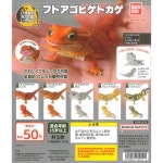 도마 피규어 게코 크레스티드 뽑기 도마 개코 파충류 조립형 육각형