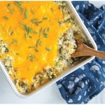 노르딕 웨어 클래식 메탈 9x13 커버 케이크 9 x 13