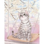 핀토 Pintoo 500 개 플라스틱제 지그소 퍼즐 MIYU 모란이 피어날 때까