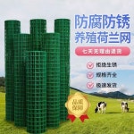 철조망 닭장 염소 철망 30m 휀스 2 5 굵기x1 8m 안전 길이 그물 구멍 11 높이 울타리 양계망 망 1 녹색 1 6m 구멍