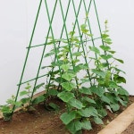 오이 지지대 토마토 고추 텃밭 강남콩 자재 지주대