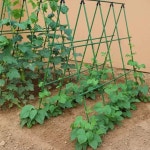 오이 지지대 토마토 고추 텃밭 강남콩 자재 지주대