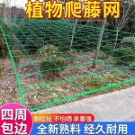 고추 오이 호박 더덕 참외 넝쿨 망 그물 농사 네트