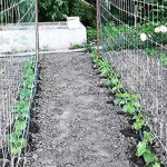 준이네 스토어 식물 관리 그물 5m 텃발네트 농사용그물망 식물관리그물