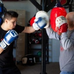 링사이드 에이펙스 펀치 미트