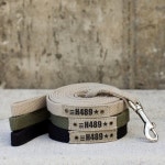 워킹 베이직 강아지 리드줄 플레이바우 참조 라이트그린 리드줄 너비20mm 길이4m 1개