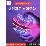 플라잉 플라이 부메랑 볼 장난감 공놀이 캐치