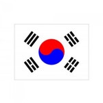 MS 게양용 태극기