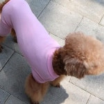 강아지 쿨링 여름 올인원 1P 티셔츠 수트 S