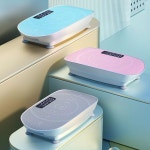 덜덜이 진동 운동기구 슬리밍 지방 밸런스