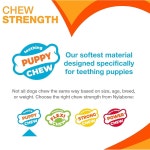 강아지용 나일론 링 본 츄 장난감 강아지 이빨 강화 치킨 맛 X-소형 개 - 최대 15파운드 1개 카운트 X-Small Ring Bone