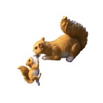 정원꾸미기 오리 다람쥐 조형물 정원 C 조각상 정원사