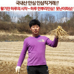금산인삼도매시장 오쿠홍삼용 인삼 수삼 난발삼 파삼 300g